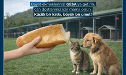 Germencik'te bayat ekmekler can dostlara mama oluyor