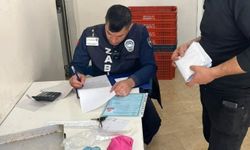 Germencik'te ruhsatlar kontrol edildi