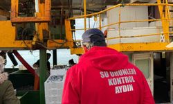 Hamsi kotası için Didim'de denetim yapıldı
