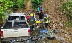 Kamyonet dere yatağına düştü: 2 yaralı