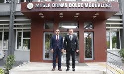 Aydın'da kestane ağaçları biyolojik mücadele ile korunuyor