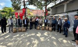 Koçarlı'da 3 bin kilo ayçiçeği tohumu üreticilere dağıtıldı