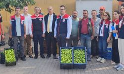 Aydın'ın dünya markası inciri için sahada yoğun mesai