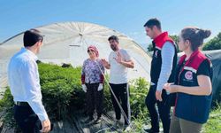 Bozdoğan'da tarımsal üretim sahada değerlendirildi