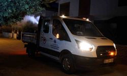 Didim Belediyesi ilaçlama çalışmaları sürüyor