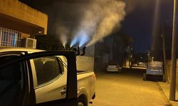 Germencik'te sivrisinek ve haşerelere karşı gece ilaçlaması