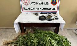 Efeler’de Yasa Dışı Kenevir Operasyonu
