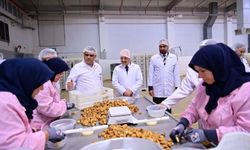 Vali Varol, Nazilli’deki İncir İşleme Fabrikasını Ziyaret Etti