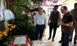 TÜLÜŞAH’IN YETİŞME SERÜVENİ İBRAMAKİ SANAT GALERİSİ’NDE