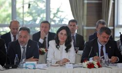 AK Partili Sarıbaş Ankara'daki İstişare Toplantısına Katıldı