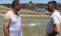 Başkan Yetişkin'den Kahraman Belediye Personeli Ahmet Katılmış'a Teşekkür