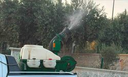 Didim'de halk sağlığı için ilaçlama seferberliği