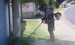 Koçarlı Belediyesi'nden Şahinciler'de çevre mesaisi