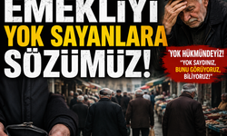 EMEKLİYİ YOK SAYANLARA SÖZÜMÜZ