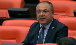 CHP’Lİ EVRİM KARAKOZ"ZEYTİNCİ ZEYTİNİ DALINDA BIRAKMA NOKTASINA GELDİ”