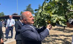 Aydın'a 100 milyonluk yatırım