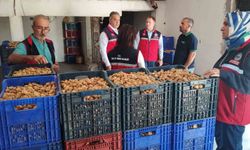 Aydın'da kuru incir için sıkı denetim