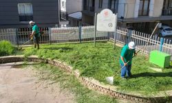 EFELER’İN PARKLARINDA DÜZENLİ BAKIM SÜRÜYOR
