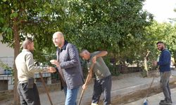 Germencik'te festival bitti, çalışmalar devam ediyor