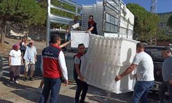 Söke'de incir üreticilerine yüzde 50 hibeli kerevet desteği