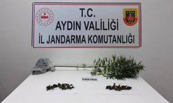 Söke'de narkotik köpeği destekli operasyonda uyuşturucu madde ele geçirildi
