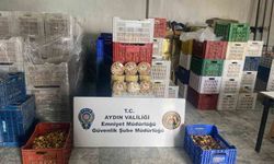 Aydın'da bir haftada 6 operasyon