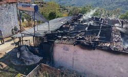 Aydın'da çıkan yangında bir ev küle döndü