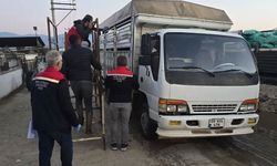 Aydın'da hayvan pazarında sıkı denetim