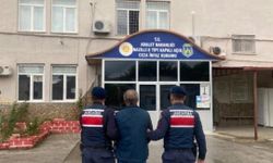 Aydın'da jandarmadan silah baskını: 1 tutuklama