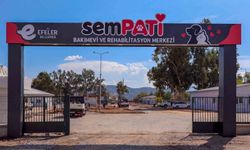 BAŞKAN YETİŞKİN’İN CAN DOSTLARI PROJESİ AÇILIŞ İÇİN GÜN SAYIYOR