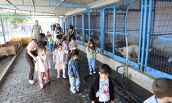 Nazilli'de minik öğrenciler can dostlarla bir araya geldi