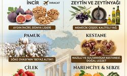 AYDIN’IN TARIM ZENGİNLİĞİ