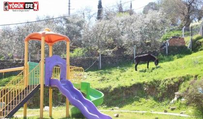 Çocukların yokluğunda parklar eşeklere kaldı