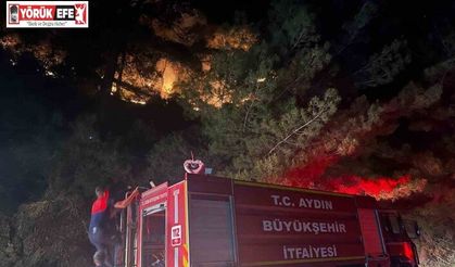 Kuyucak’ta zirai alan yangını