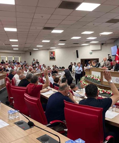 Büyükşehir Meclisi'ne 'ilaçlama' konusu damga vurdu