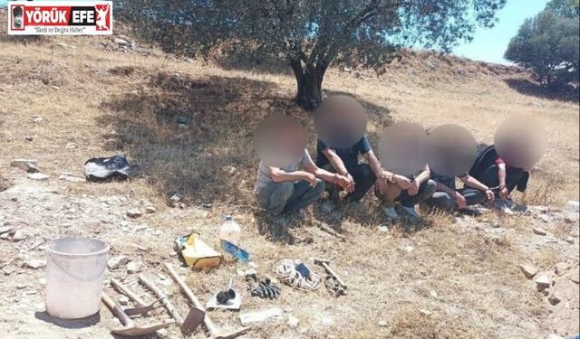 Definecileri kazdıkları çukurdan jandarma tek tek çıkardı