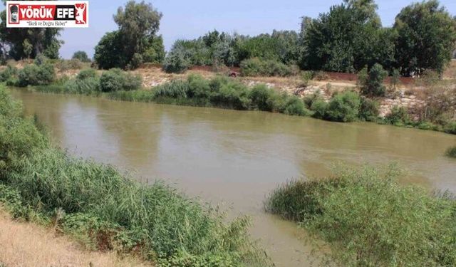 Baraj kapakları açıldı Çine Çayı su taşımaya başladı