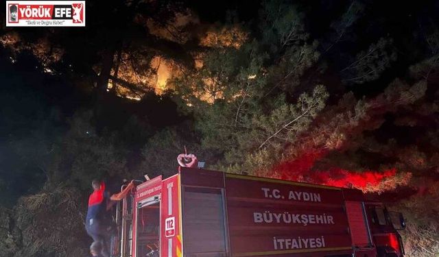 Kuyucak’ta zirai alan yangını