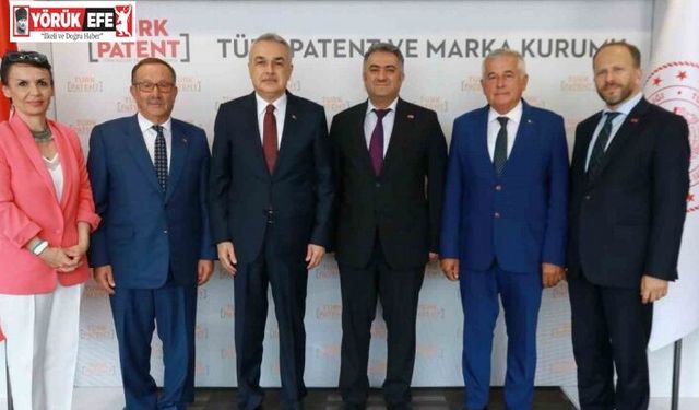 Aydın enginarı coğrafi işaret tesciline kavuşuyor