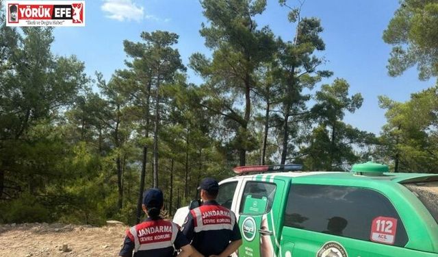 Çine’de doğal yaşam alanları kontrol edildi