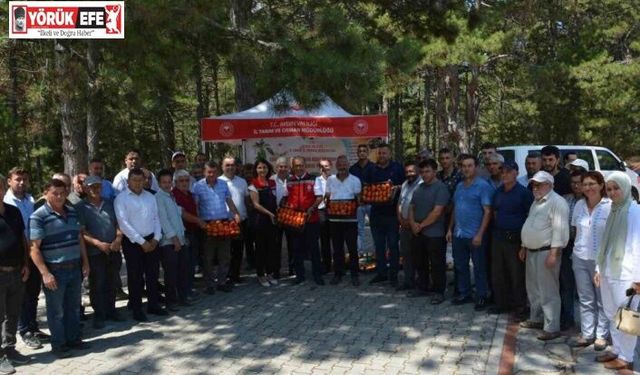 Kuyucak’ta geçci domates hasat şenliği yapıldı