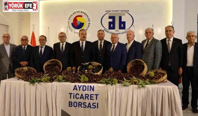 Aydın’da sezonun ilk kestanesi kilosu 500 TL’den alındı