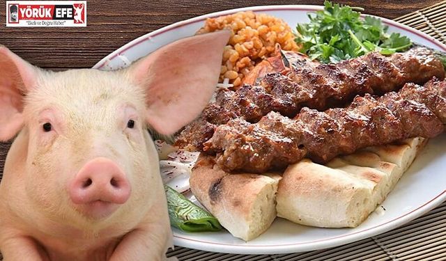 Bakanlık'tan domuz eti ile ilgili beklenen açıklama geldi