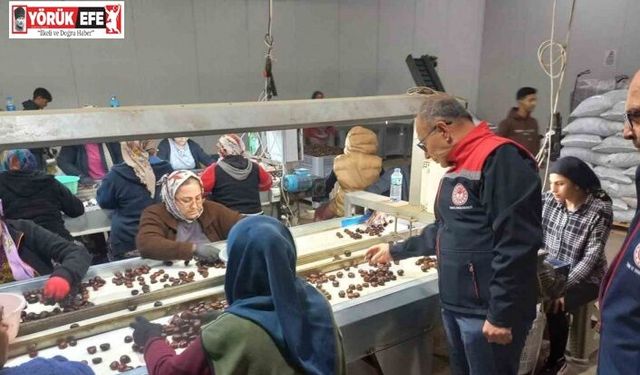 Kestanenin Aydın’dan ihracat yolculuğu başlıyor