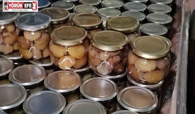 Nazilli’nin Kestane Şekeri, Uzakdoğu sofralarını süslüyor