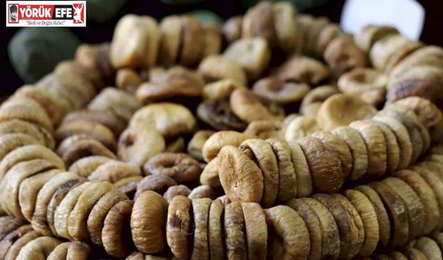 Aydın’ın milli meyvesi kuru incirde 4 aylık ihracat rakamı 194 milyona ulaştı