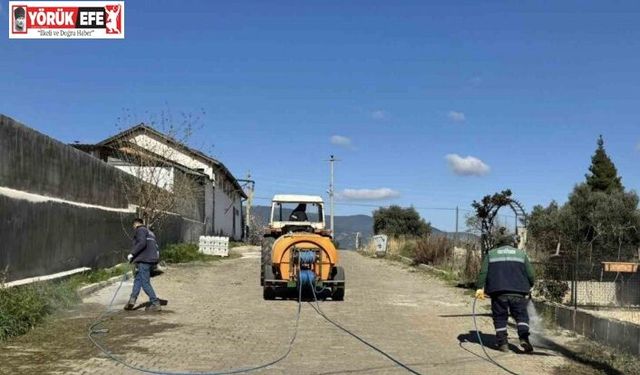 Karacasu yaza hazırlanıyor