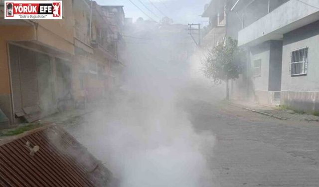 Koçarlı Belediyesi’nden haşere ve yabani otlara erken müdahale