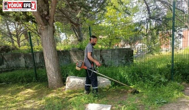 Afrodisias Antik Kenti’nde ilaçlama çalışması başlatıldı