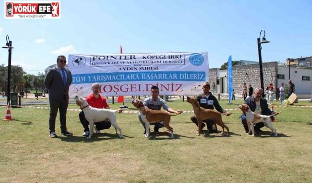 Aydın’da köpekler podyuma çıktı